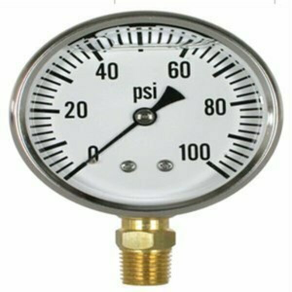 Braber Equipment Ltd 85.300.100 2.5 in. Glycerin Gauge SP-AVE01389